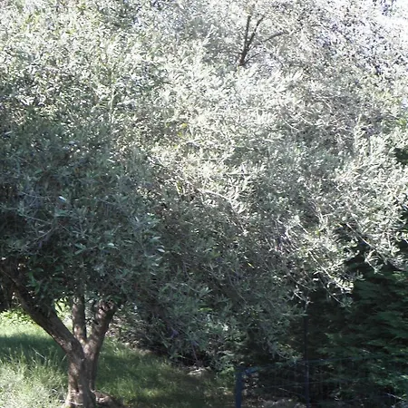 アパート La Parenthese